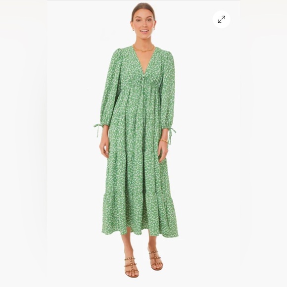 Tuckernuck Dresses & Skirts - Tuckernuck Hyacinth House Green Ditsy Floral Mila Midi Dress Size XS Boho Ruffle